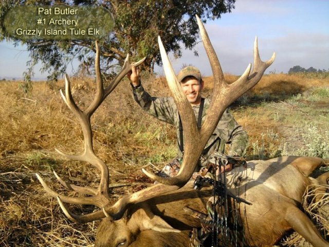 2010 Pat Butler #1 Archery Elk