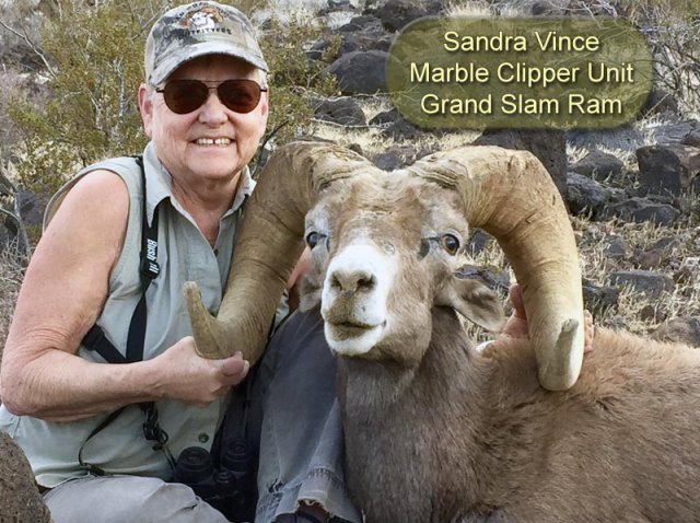 Sandra Vince - Marble Clipper Unit - Grand Slam Ram