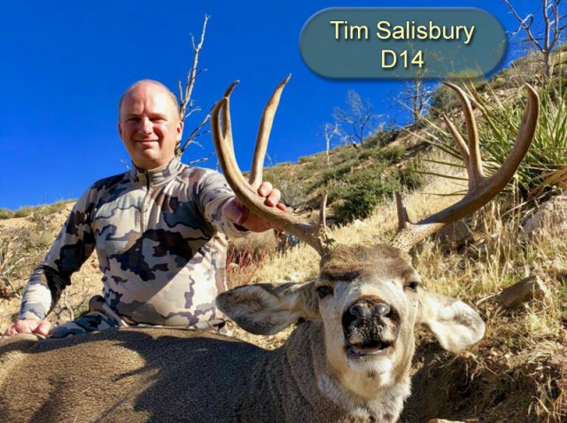 Tim Salisbury D14