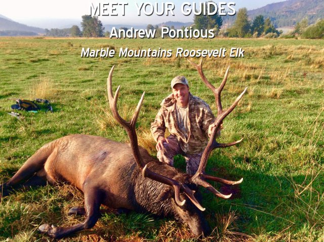 Andrew Pontious - Marble Mountains Roosevelt Elk